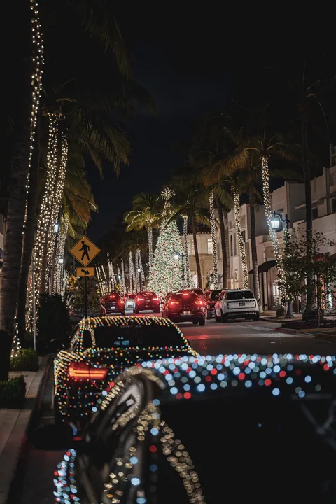 Holiday Lights — Sa75095