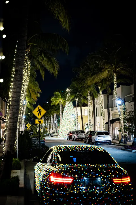Holiday Lights — Sa75103