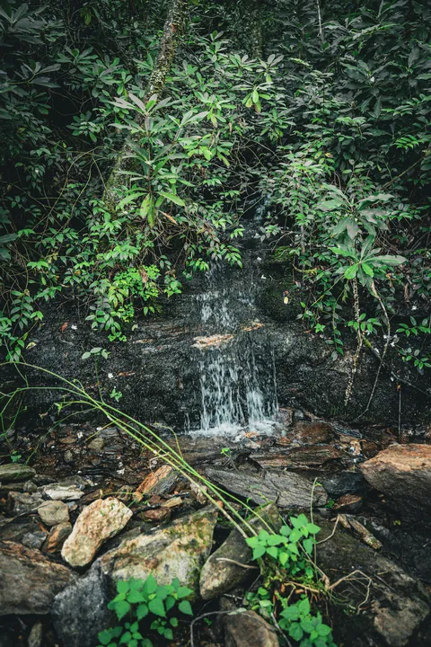 Waterfalls — Sa77230