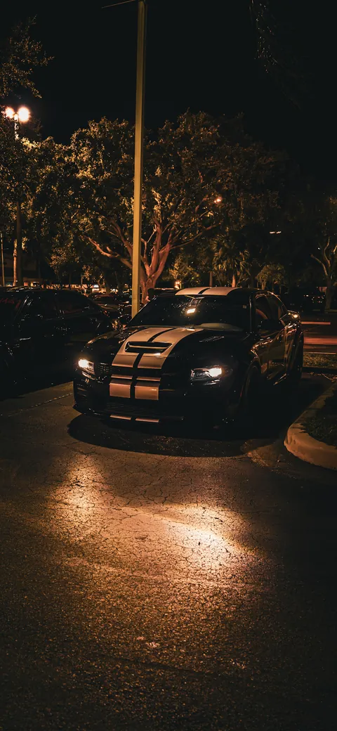 Night Meets — Sa70638