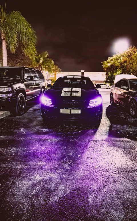 Night Meets — Sa71597