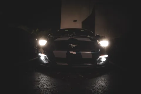 Night Meets — Sa71861