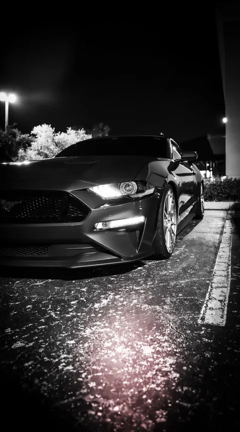 Night Meets — Sa71883