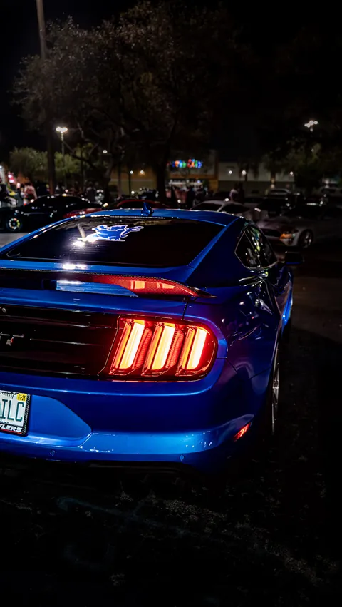 Night Meets — Sa71894